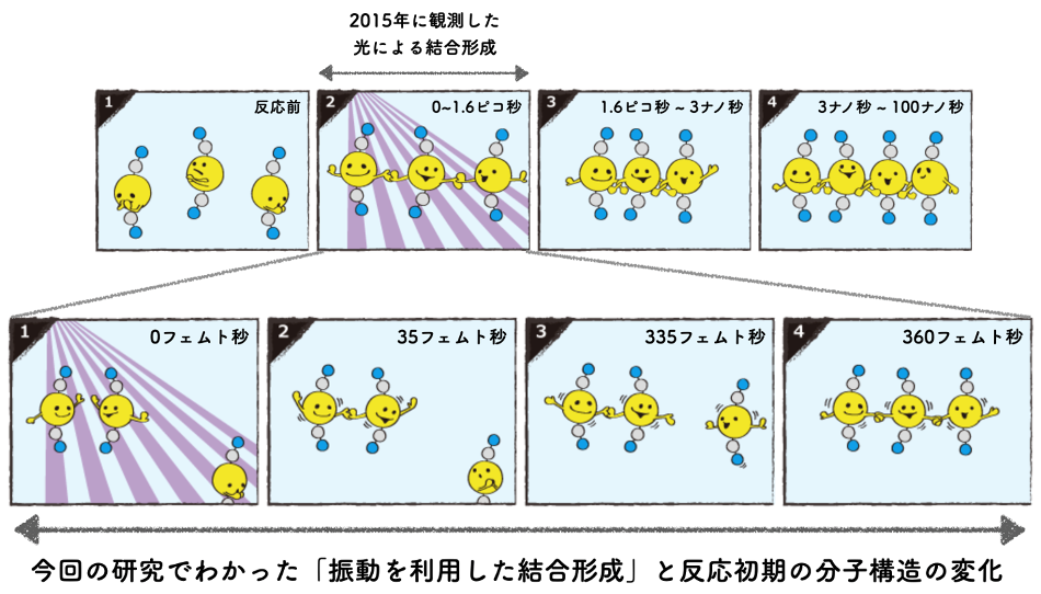 図２　今回の研究でわかった、光化学反応がスタートした直後の分子の動き
