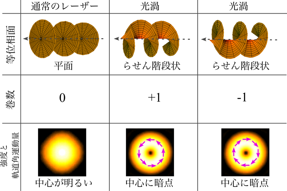 図1　光渦ビームの巻数と周辺の強度分布の関係