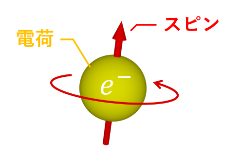 図3　電子スピンの概念図