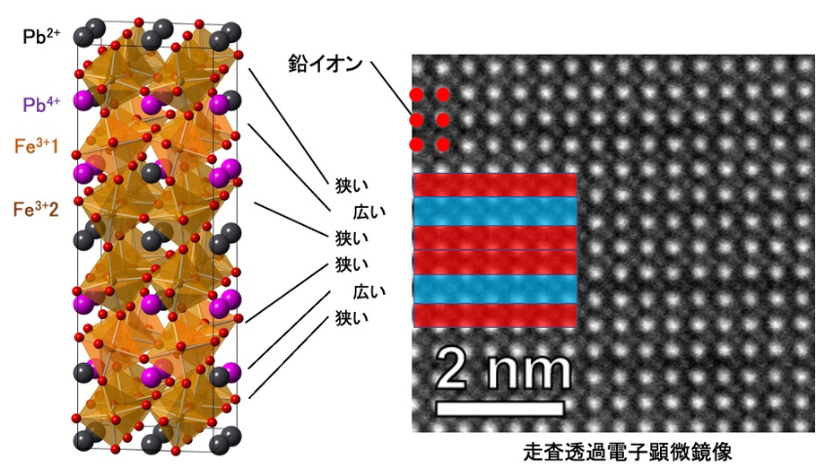 図1　PbFeO3の結晶構造と、走査透過電子顕微鏡像の比較。