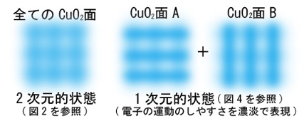 観測データ