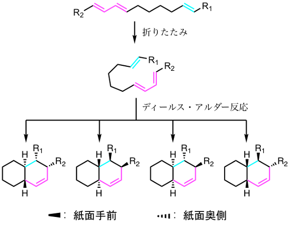 補足図4 ディールス・アルダー反応によって生産されるデカリン骨格の構造