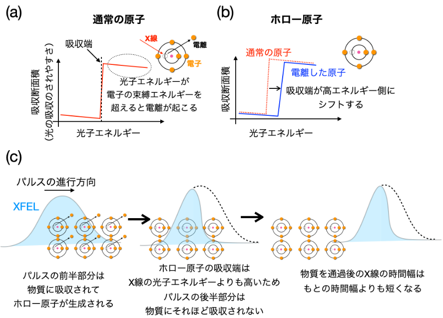 図1　ホロー原子を利用したX線自由電子レーザー（XFEL）の短パルス化