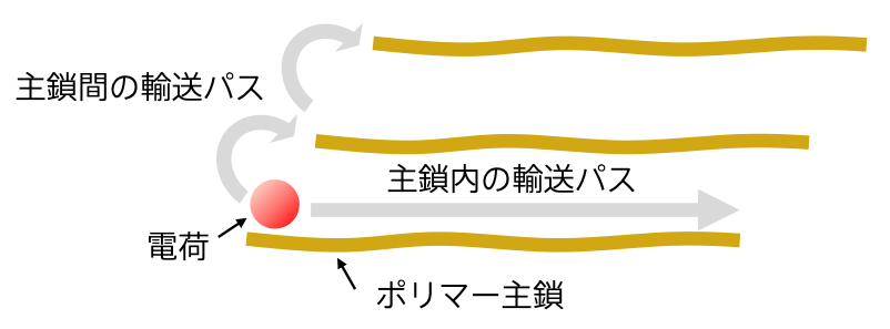 図1. ポリマー半導体中における主鎖内および主鎖間の電荷輸送パス