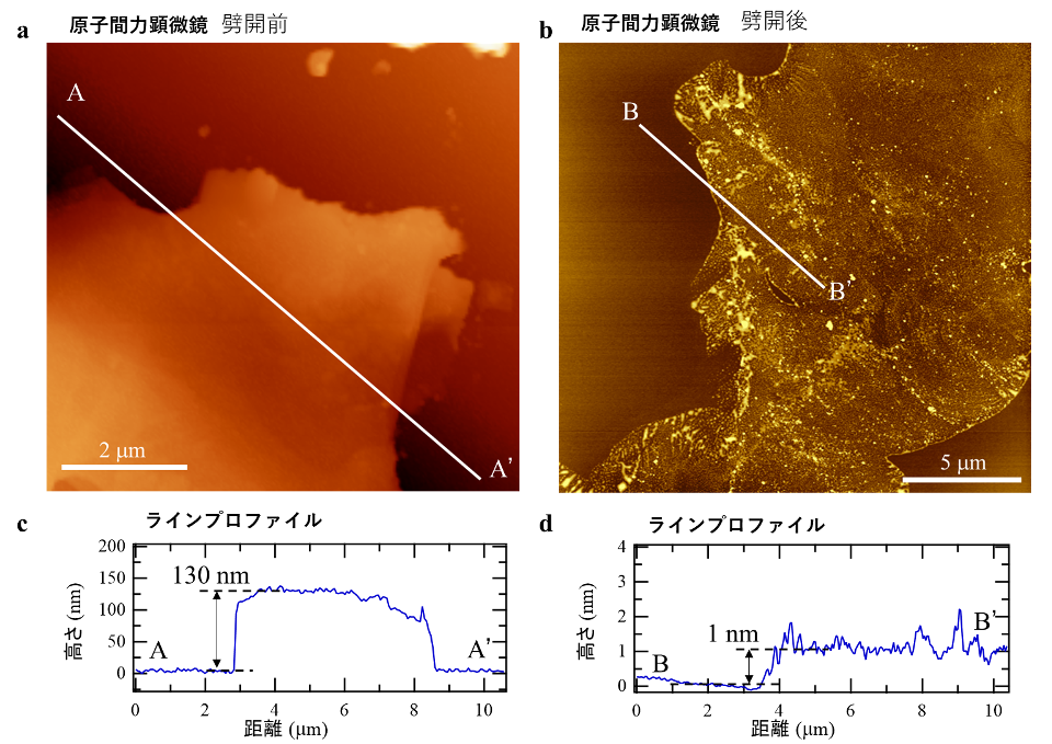 図4　(a) 菱面体硫化ホウ素、および (b) これより剥離した硫化ホウ素シートの原子間力顕微鏡観察結果。