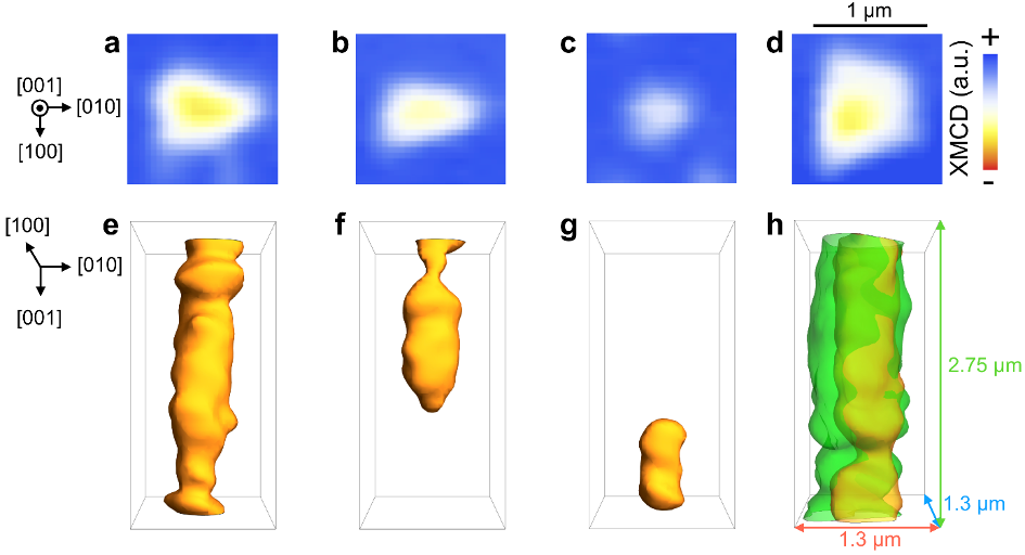 図３：(a)-(d)個々のスキルミオンひもを真上から観察した際の二次元XMCD透過像。