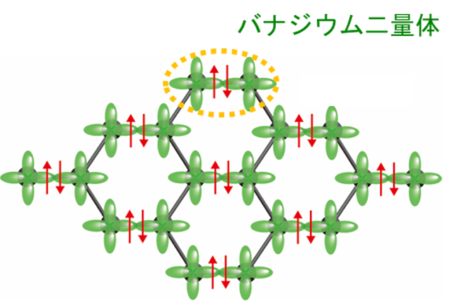 図2：はしご状に並んだバナジウム二量体状態の模式図。