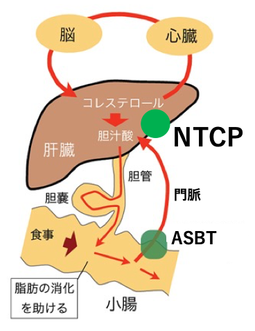 注1