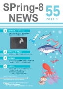 SPring-8 NEWS No.55