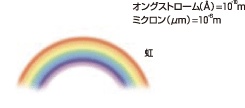 虹