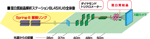 SPring-8のタンパク質構造解析ビームライン