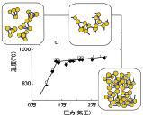 図2：リンの状態図と液体リンの構造