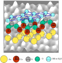 金の電極表面を、銅でメッキした表面の原子・分子の配列