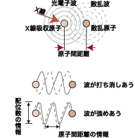 図2：光電子波が散乱波と干渉する様子。