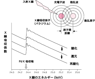 図2：この研究の主要な結論を導く、Ｘ線吸収スペクトル（XAFS） の生データ。