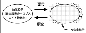 図4：酸化還元の雰囲気変動に応じた触媒粒子の変化。