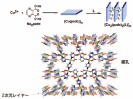 図2. ピラードレイヤー構造を持つ多孔性配位高分子