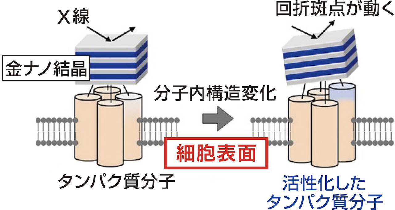 図1