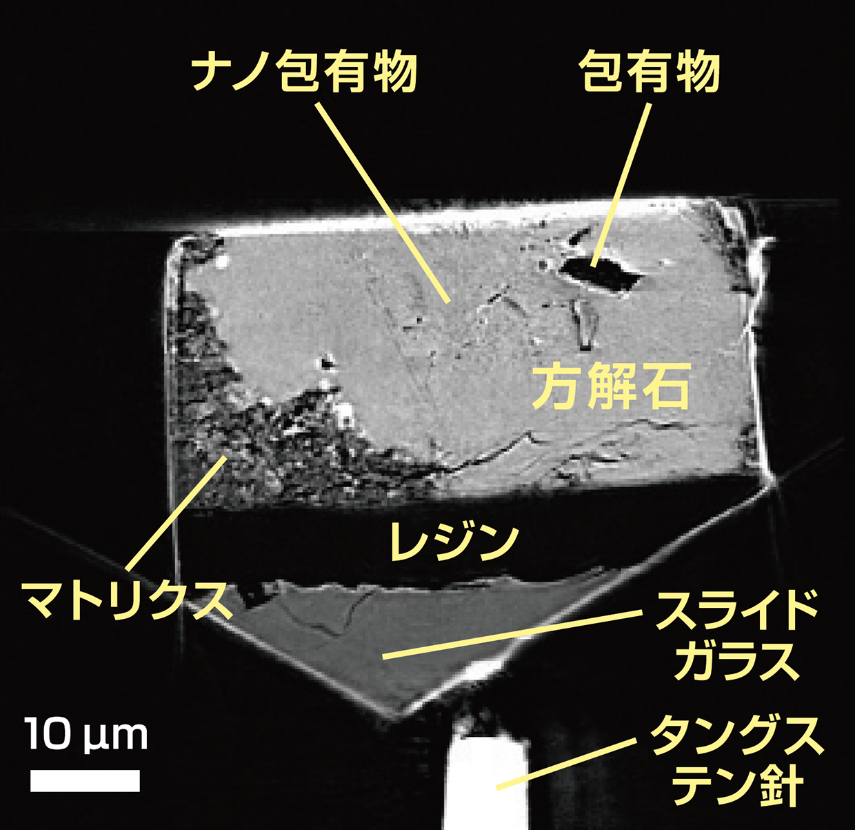 SPring-8 NEWS 105号(2021.7月号) — SPring-8 Web Site SPring-8 NEWS 105号(2021.7月号) — SPring-8 Web Site