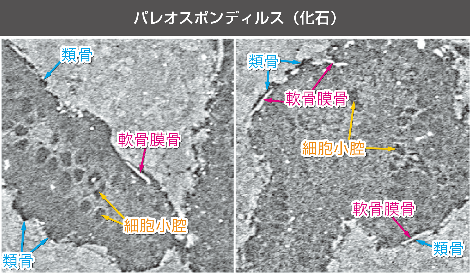 図3