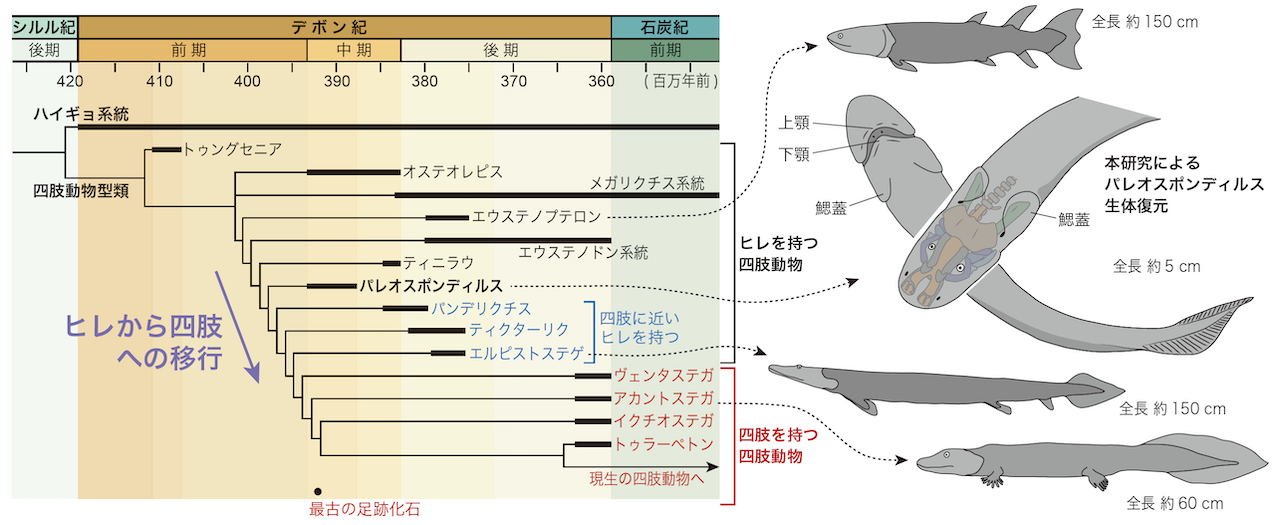 図5