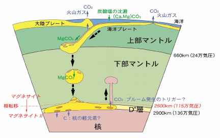 地球内部の構造と本研究による炭素の長期的大循環モデル