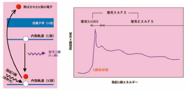 図1.蛍光X線の発生(左)と蛍光XAFS(X線吸収微細構造)スペクトル(右)