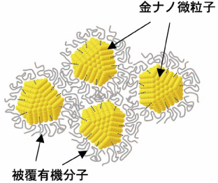 有機分子被覆金ナノ微粒子の模式図