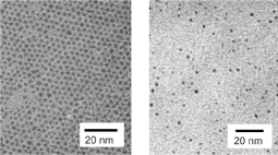 図1 金ナノ微粒子の電子顕微鏡写真