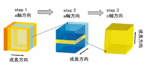 図1. RAF成長法の模式図