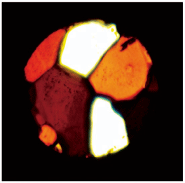 高圧下で多彩な姿を見せる固体酸素