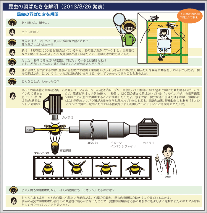 やさしく解説