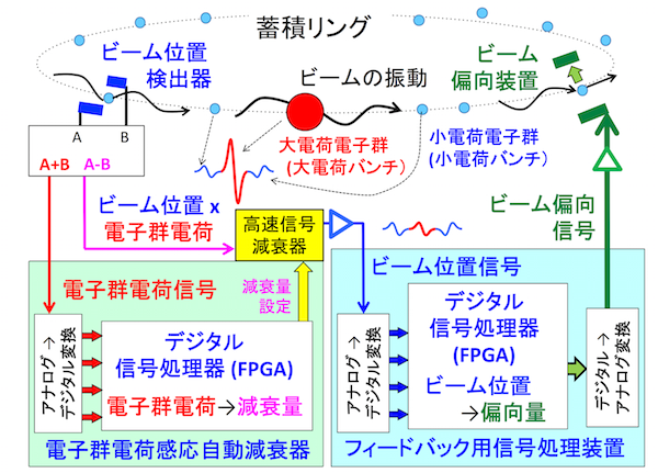 図1 不安定性抑制用バンチ毎フィードバックシステム