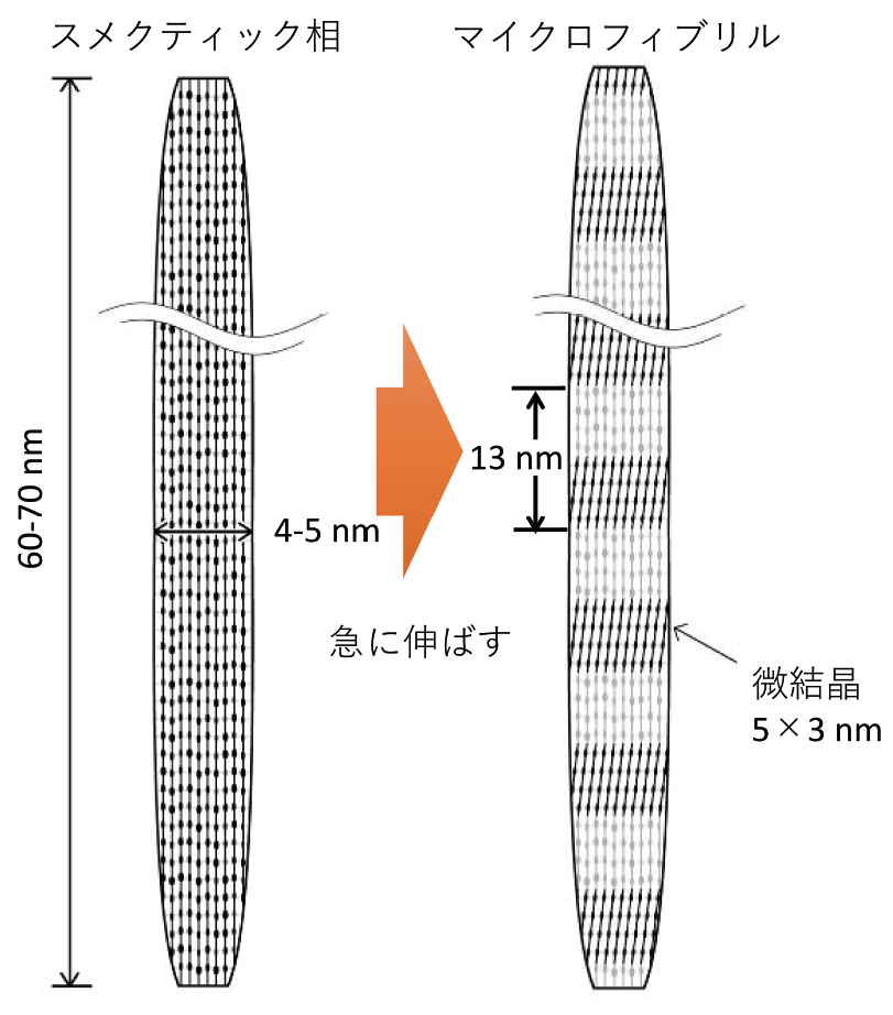 図3 化学繊維形成の模式図。