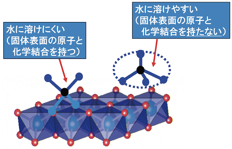 図３　海水中の固液界面でのイオンの反応