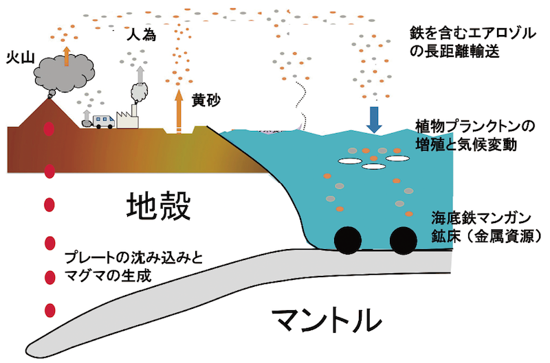 図６　地球上での鉄の循環の模式図