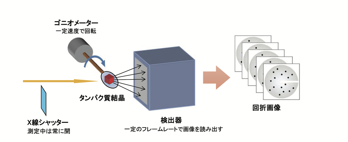 図2　シャッターレス法による回折データ測定