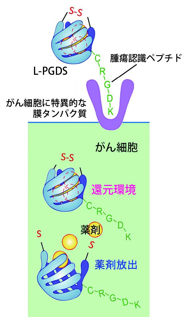 図3