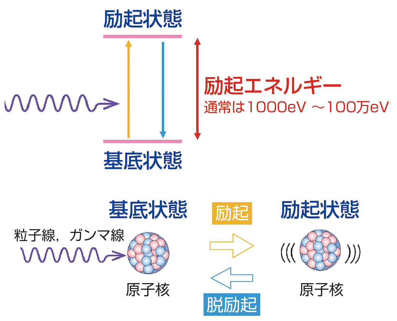 図1