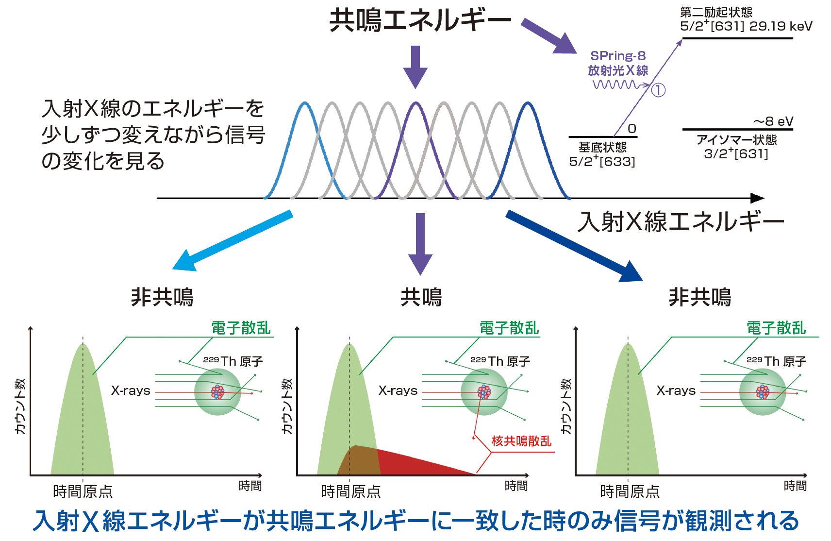 図5