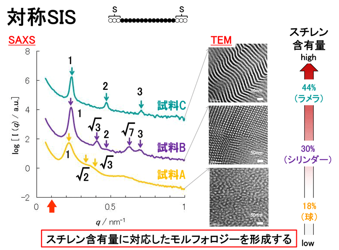 図3　 SAXSとTEMによる対称SISの解析