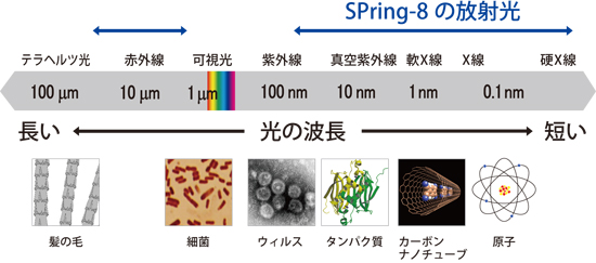 SPring-8の放射光