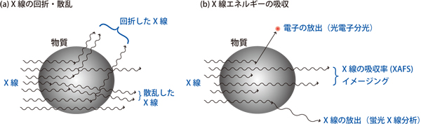 世界最高の性能を誇るSPring-8-Ⅱへの進化を掲げ、科学技術の