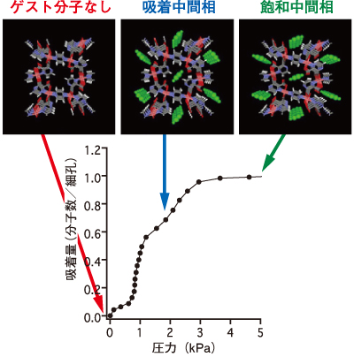 図4. 吸着等温線とそれぞれの吸着量に対応する結晶構造