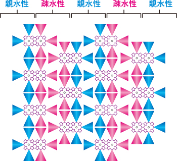 4971660777853.jpg
