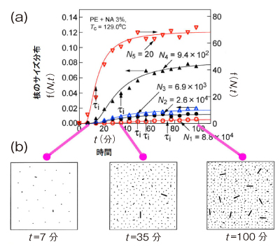 図2．核のサイズ分布の時間発展