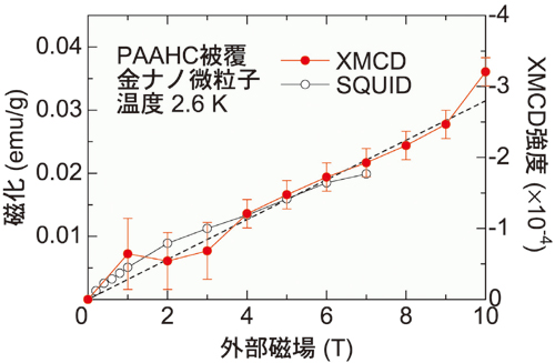 図2.温度2.6 Kでのポリアリルアミン塩酸塩被覆金ナノ微粒子のXMCD測定値グラフ