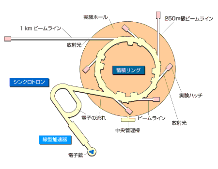 SPring-8の放射光発生概念図