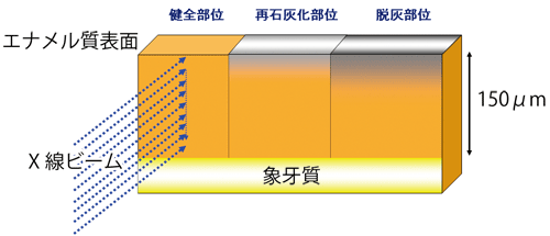 図2. SPring-8での測定試料調製。