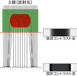 図3. 毛髪１本のX線回折パターン